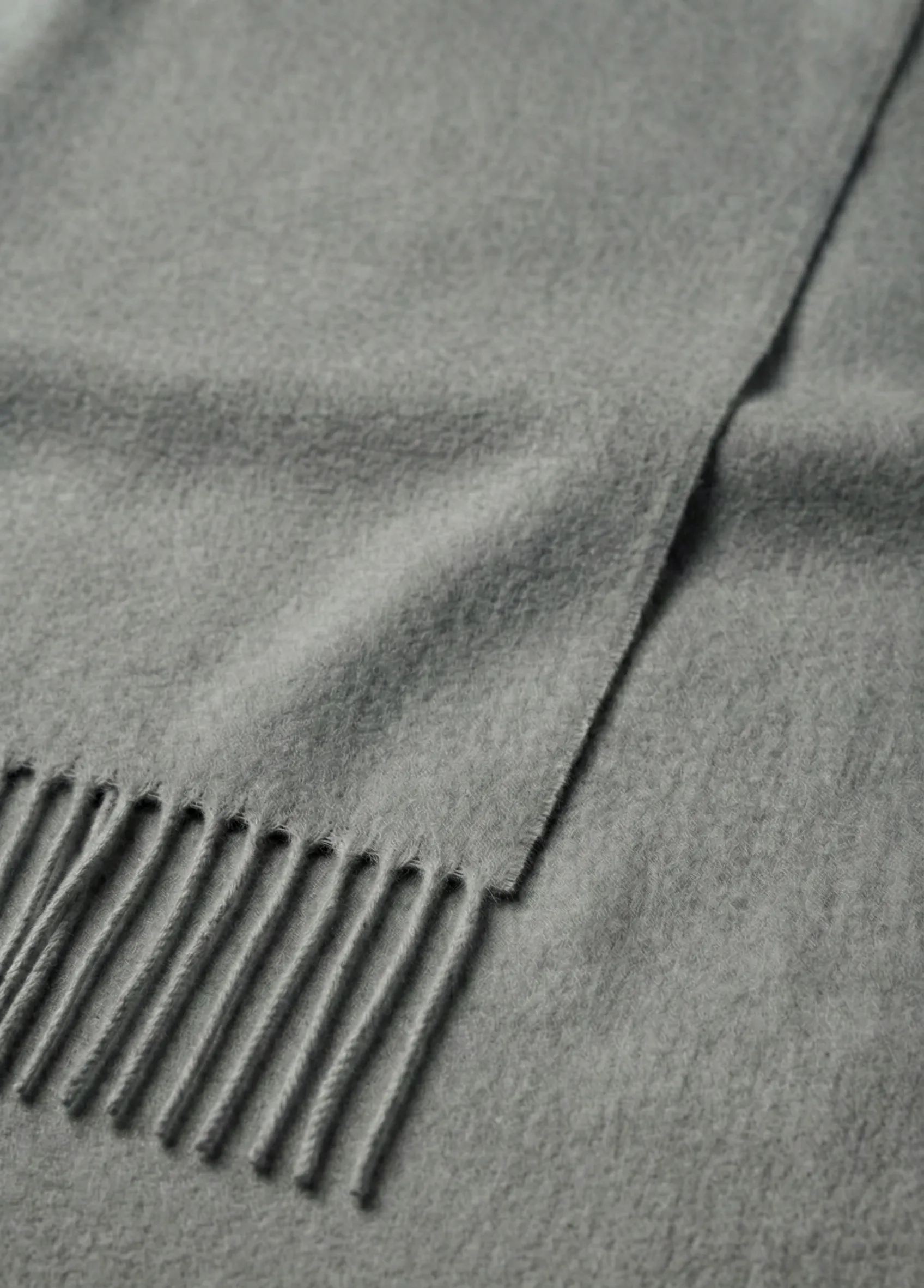 Gemini_Generated_Image_ifyfiifyfiifyfii