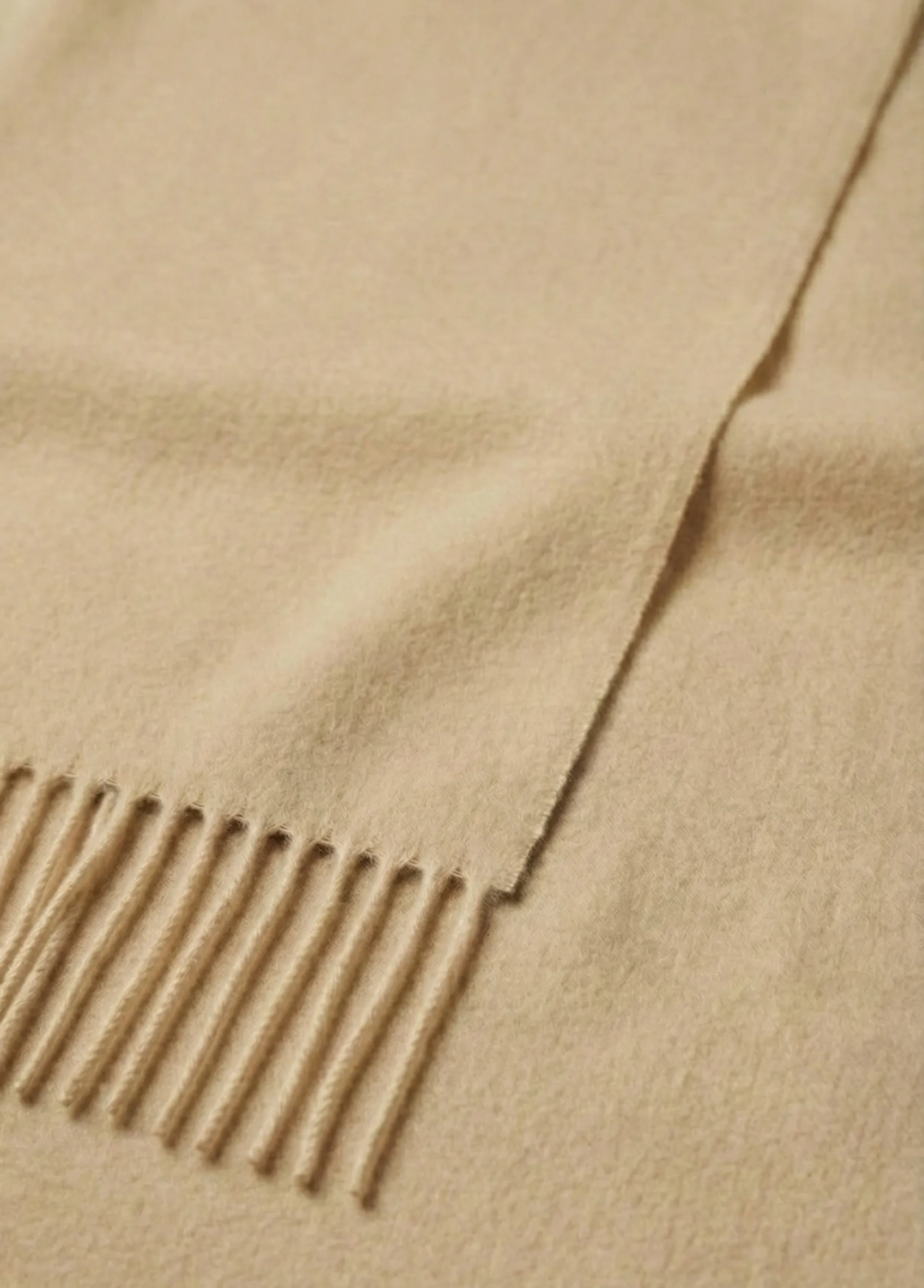 Gemini_Generated_Image_mpiqaempiqaempiq (1)