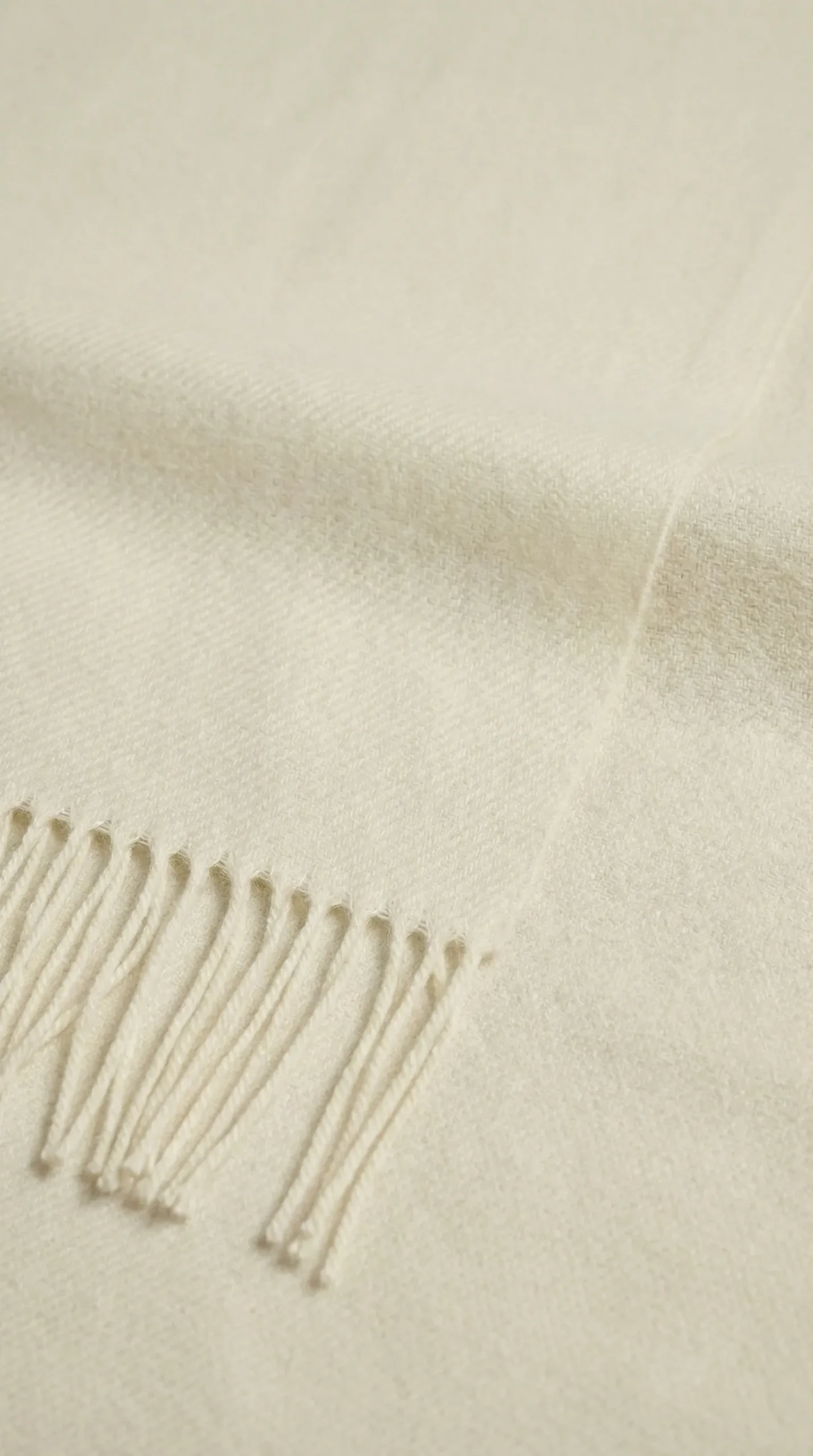 Sans titre-20260116-023559-2462