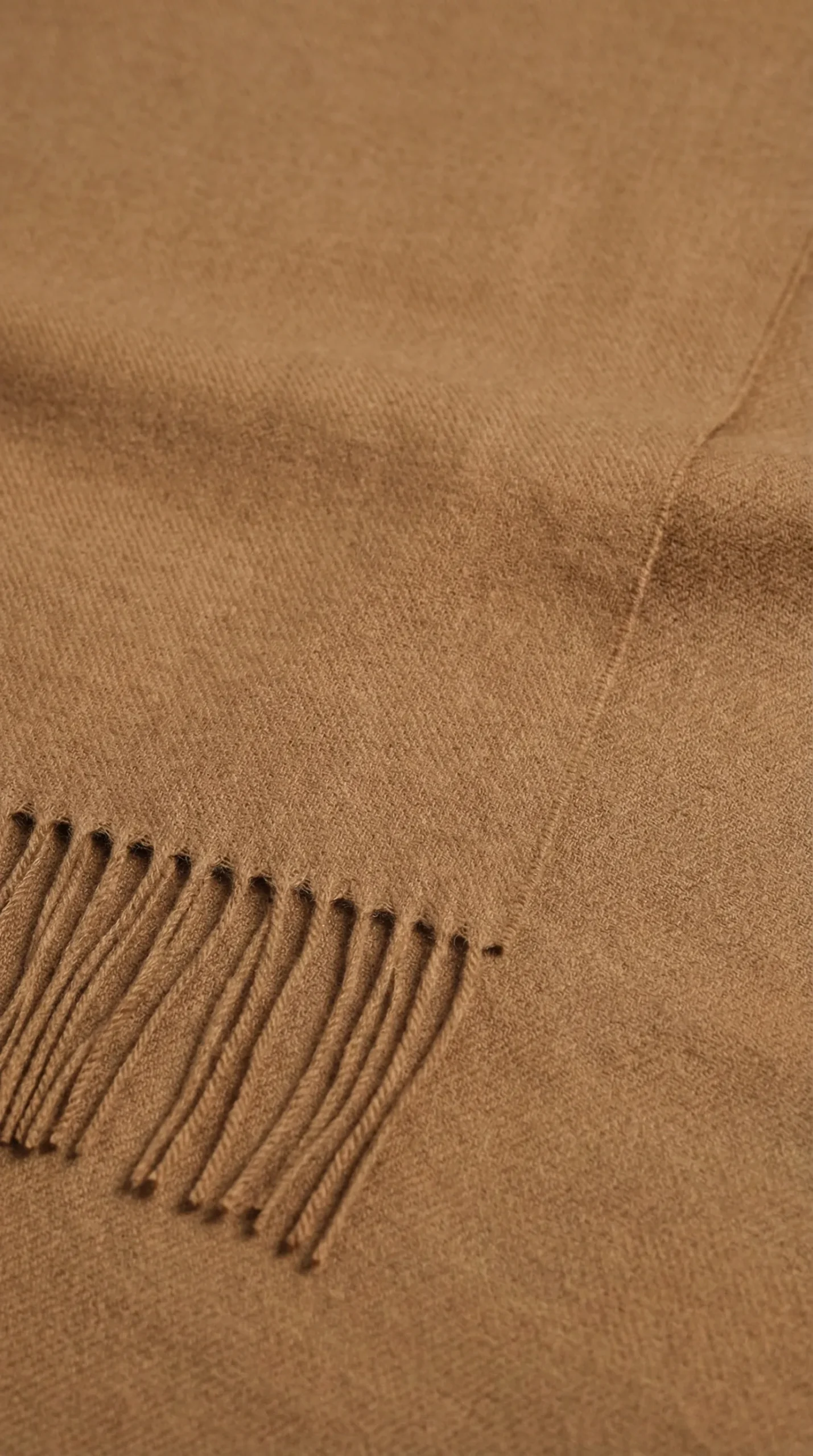 Senza titolo-20260116-023606-4395