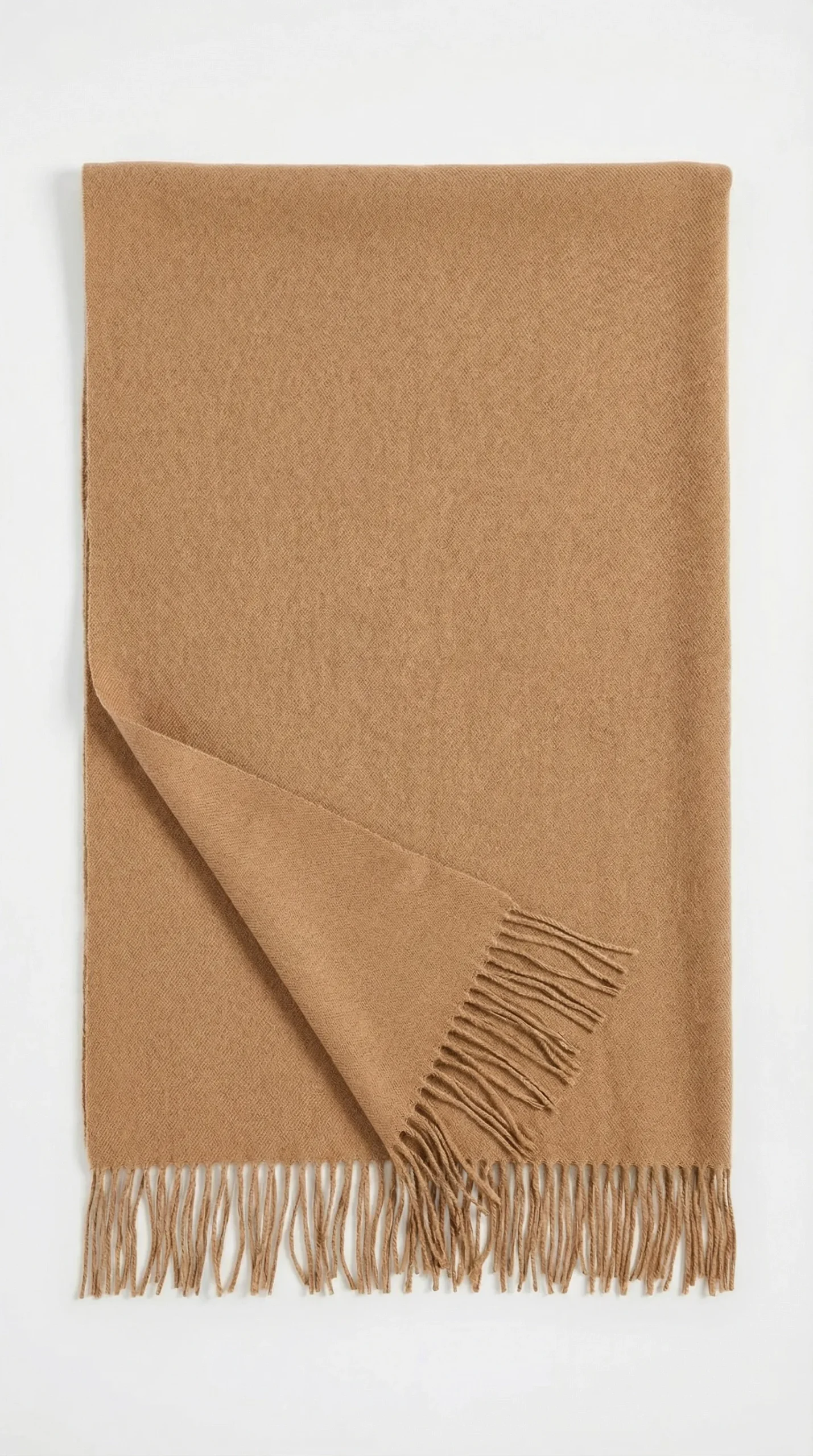 Untitled-20260116-023614-0590