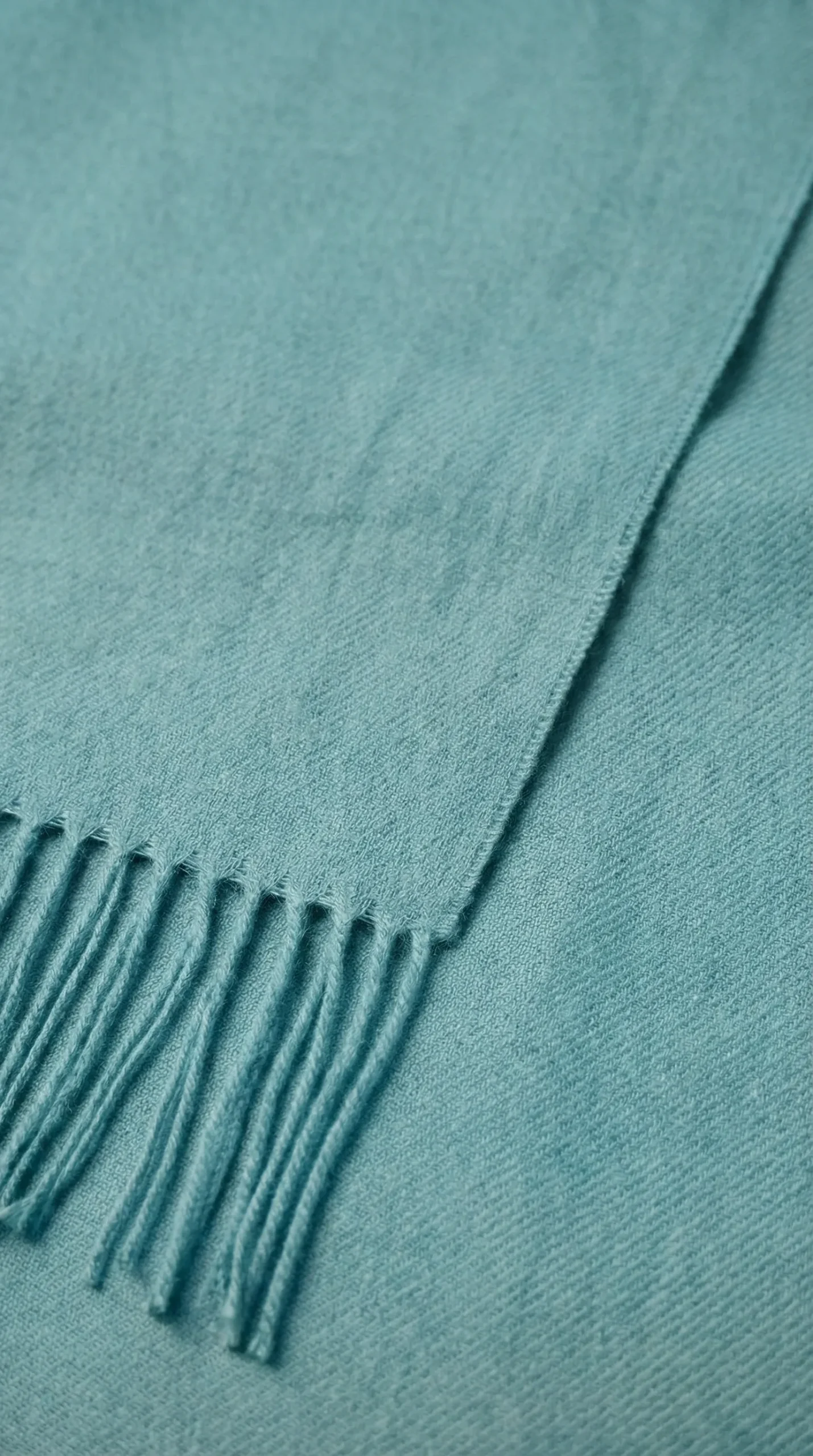 Untitled-20260116-031359-0919